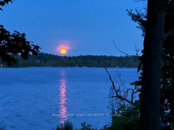 321 Avery Point Road  Kawartha Lakes, ON L0K 1W0