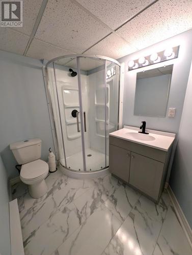 276 Grenfell Heights, Grand Falls-Windsor, NL - Indoor Photo Showing Bathroom
