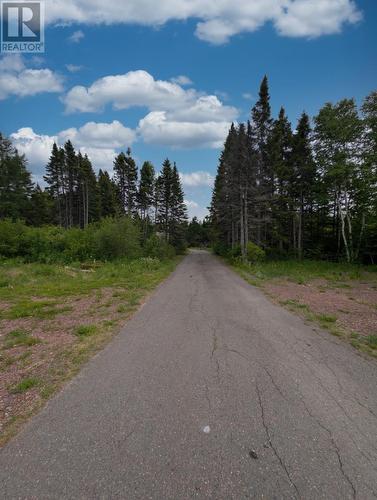 276 Grenfell Heights, Grand Falls-Windsor, NL - Outdoor With View