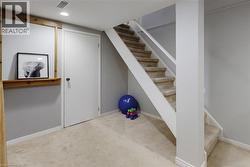 Carpeted staircase with white risers and handrail - 
