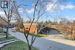 Residential street with manicured lawns and mature trees - 