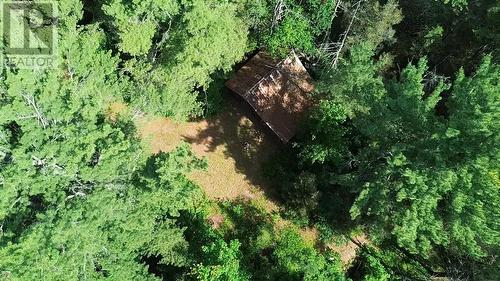 136 Station Rd, Huron Shores, ON - Outdoor