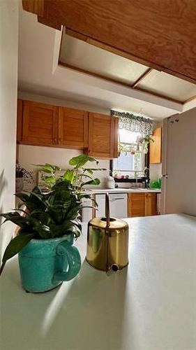 117 Harvard Ave, Winnipeg, MB 