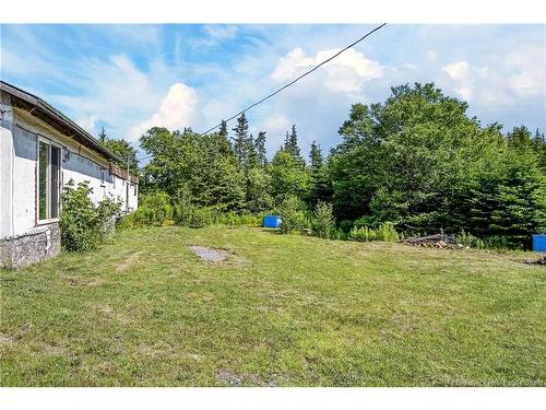 50 Moore Rd, Black River, NB 
