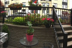 Patio - 