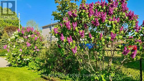 2344 12 Highway, Ramara, ON 