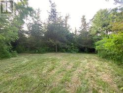 1.4 Acres to enjoy! - 