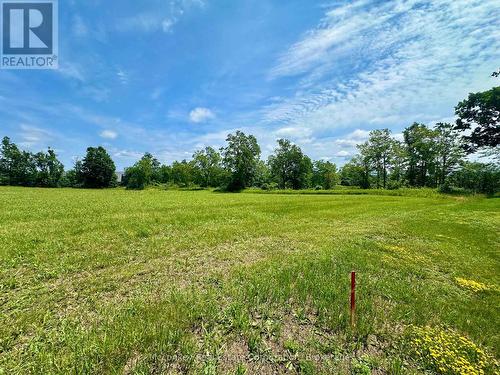 00 3Rd Line, Otonabee-South Monaghan, ON 