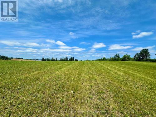 00 3Rd Line, Otonabee-South Monaghan, ON 