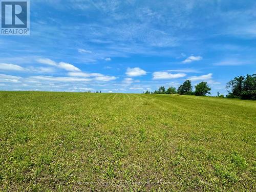 00 3Rd Line, Otonabee-South Monaghan, ON 