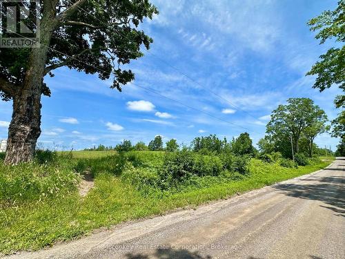 00 3Rd Line, Otonabee-South Monaghan, ON 