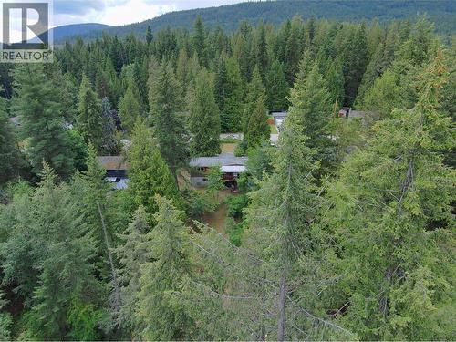 2186 Crestview Crescent, Castlegar, BC - Outdoor With View