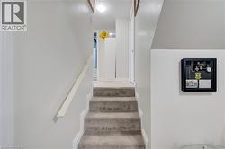 Carpeted staircase with white handrail and recessed ceiling light - 