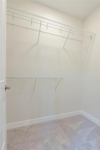 3 Elizabeth Waytiuk Cove, East Selkirk, MB - Indoor With Storage