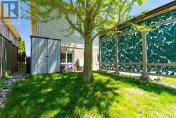 Backyard shed and shade tree - 