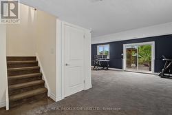 Upgraded Pet Resistant Carpeting - 