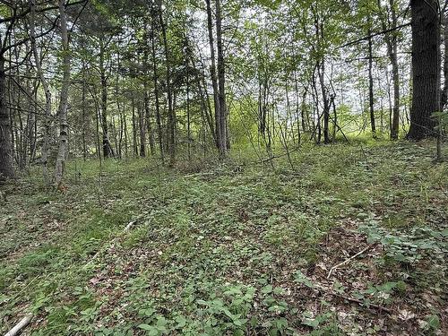 214 Highway, Elmsdale, NS 