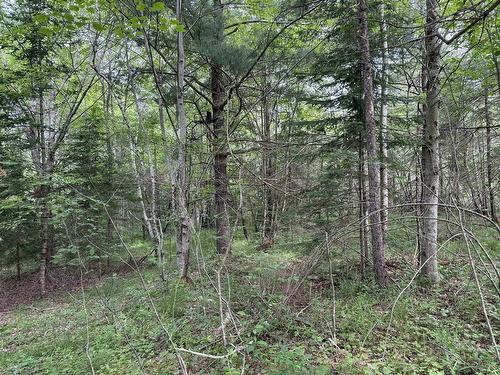 214 Highway, Elmsdale, NS 