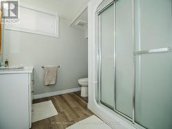 Basement Bathroom - 