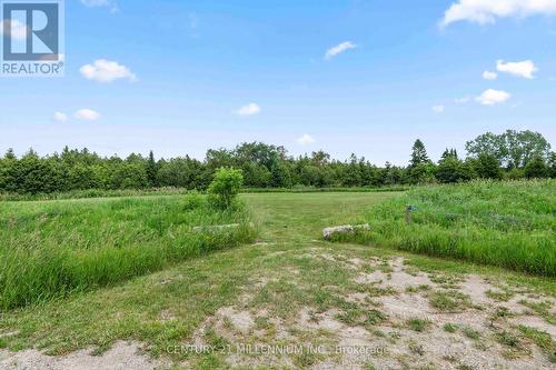173413 County Road 25 Road, East Luther Grand Valley, ON 