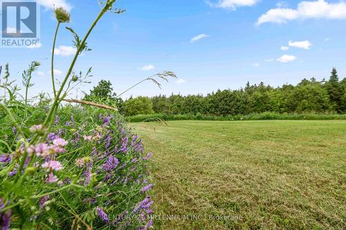 173413 County Road 25 Road, East Luther Grand Valley, ON 