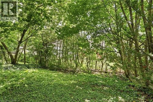 34 Eaton Place, Hamilton, ON - Outdoor