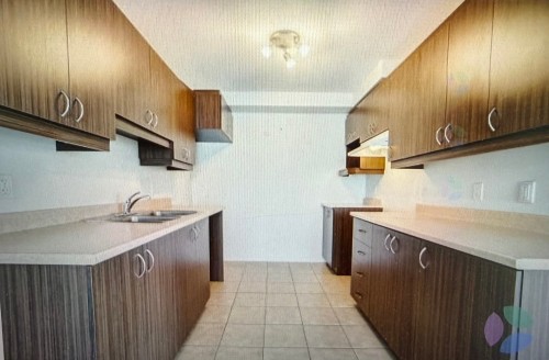 Cuisine - 133 Rue Guy-Lafleur, Thurso, QC - Indoor Photo Showing Kitchen With Double Sink