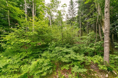 Lot - Ch. Des Aigles, Saint-Damien, QC 