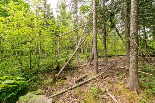 Lot - Ch. Des Aigles, Saint-Damien, QC 