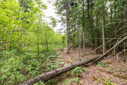 Lot - Ch. Des Aigles, Saint-Damien, QC 