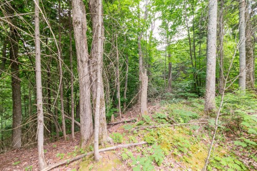 Lot - Ch. Des Aigles, Saint-Damien, QC 