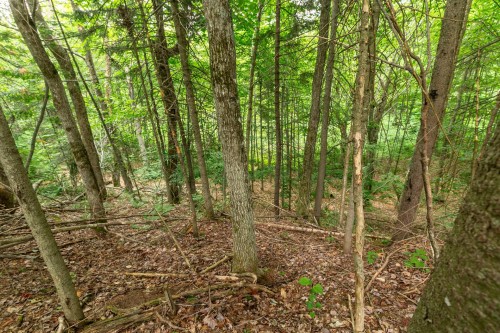 Lot - Ch. Des Aigles, Saint-Damien, QC 
