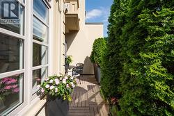 Outdoor patio featuring wood-finish decking, mature privacy hedges, and a stucco exterior - 