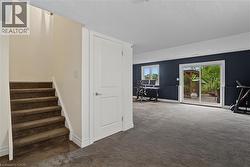 Upgraded Pet Resistant Carpeting And Underpad In Basement - 