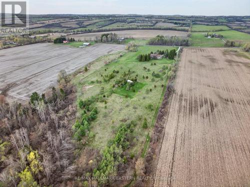 View from back of property looking north - 1229 Morton Line, Cavan Monaghan (Cavan Twp), ON 