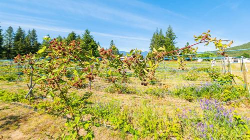 3720 Sylvester Road, Creston, BC 
