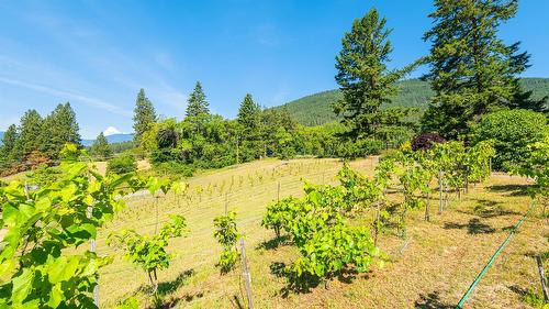 3720 Sylvester Road, Creston, BC 