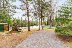 View from the Bunkie! - 