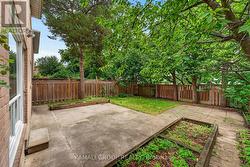 Large Backyard - 