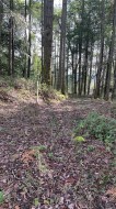 Lot A Ebadora Lane Malahat, BC V0R 2L0