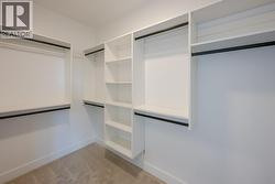 Walk-in closet with built-ins - 