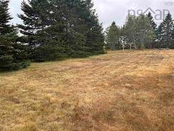 441 Beaverdam Road Parrsboro, NS B0M 1S0