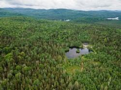 Aerial View - 