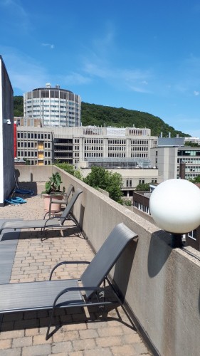 View - 505-3455 Rue Drummond, Montréal (Ville-Marie), QC 