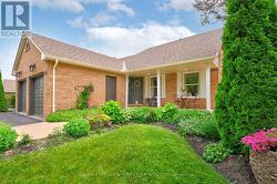 Mature garden - 