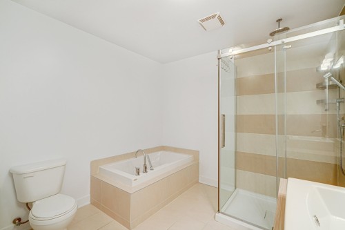 Bathroom - 202-16310 Rue Sherbrooke E., Montréal (Rivière-Des-Prairies/Pointe-Aux-Trembles), QC - Indoor Photo Showing Bathroom
