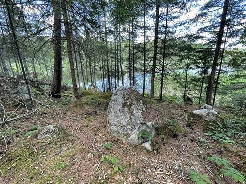 301 Sandy Beach Road, Dryden, ON 