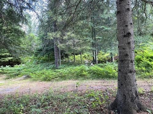301 Sandy Beach Road, Dryden, ON 