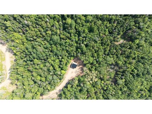 110 Beech Hill, Weldon, NB 
