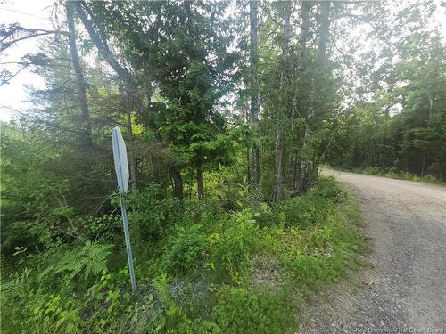 21-01 Sunset Dr, Bayside, NB 
